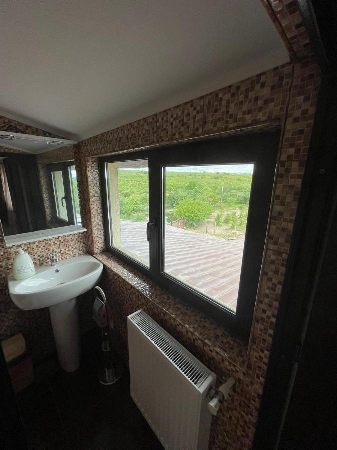 Motel Orion Obrejita Экстерьер фото