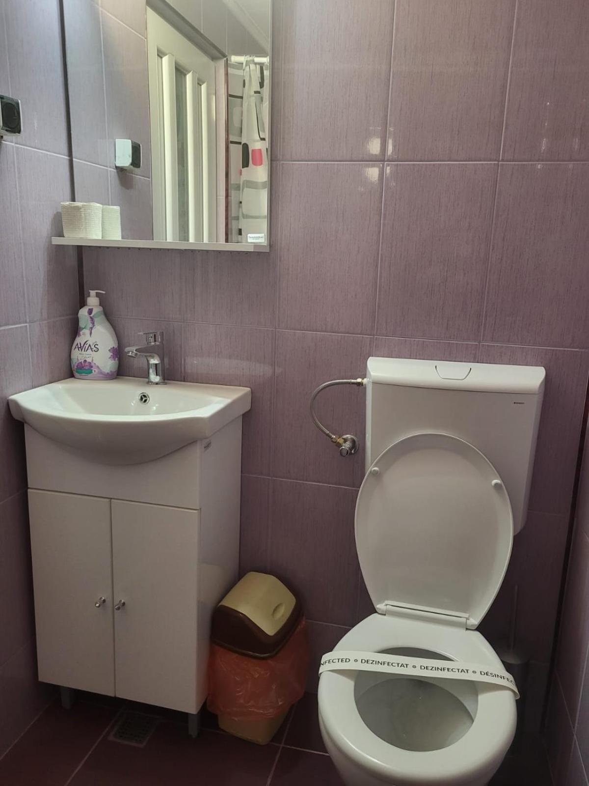 Motel Orion Obrejita Экстерьер фото